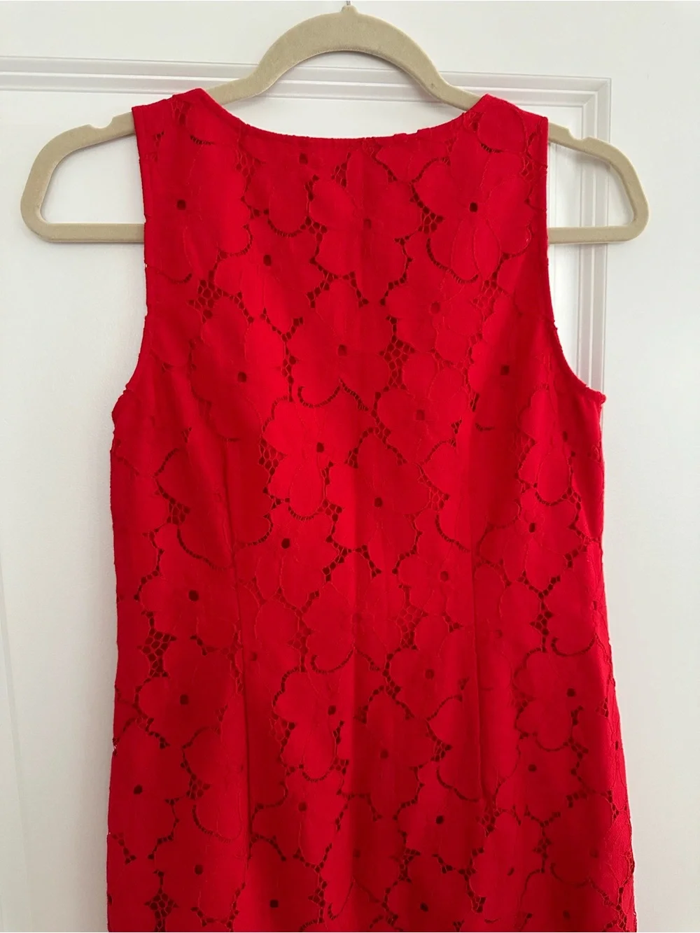 Banana Republic Vibrant Red Floral Lace Sleeveless Shift Dress - Americana - Picture 12 of 17